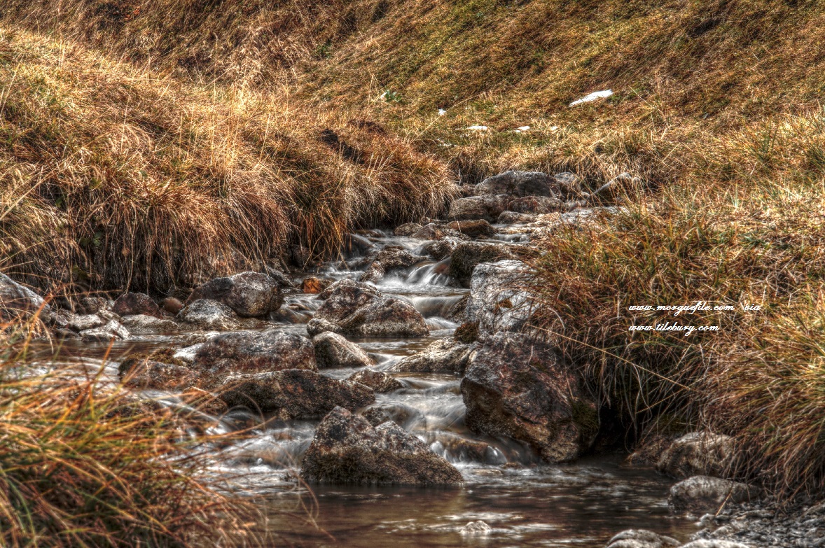 A stream through countryside