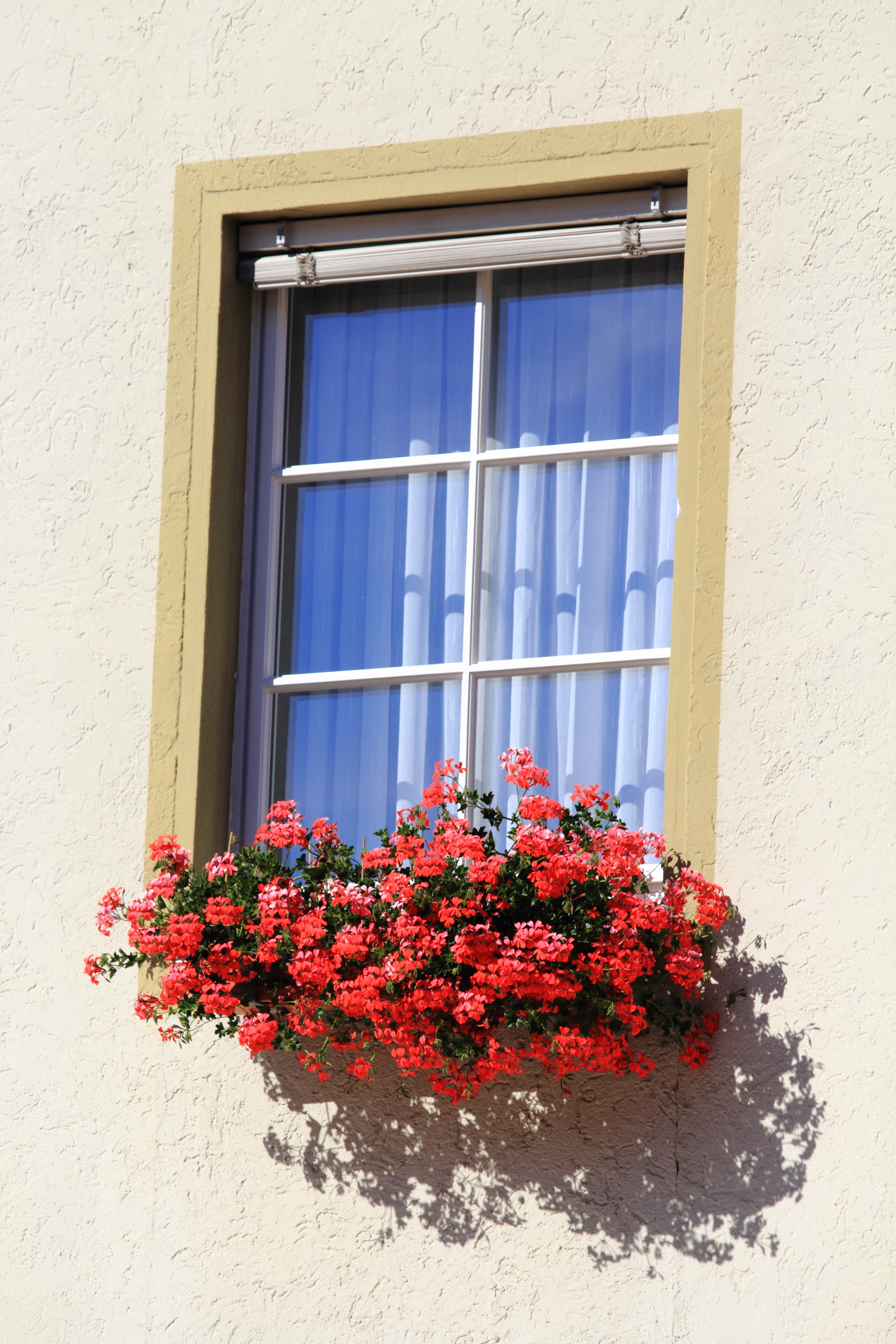 Window Box