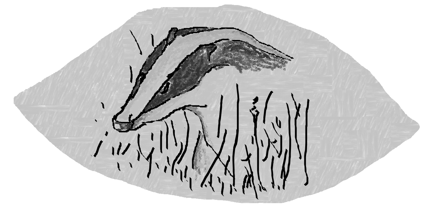 a Badger